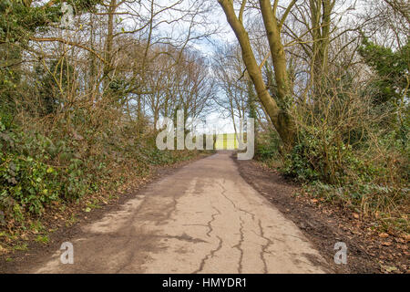 alten Wanderweg gemacht von Teer in einem englischen Park tagsüber claudy Stockfoto