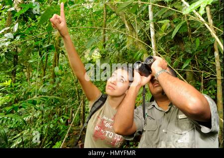 Canopy Adventure befindet sich in einem wunderschönen Tal (El Valle) unweit von Panama City, die Hauptstadt von Panama. Dieses aufregende neue Ökotourismus teilzuhaben Stockfoto