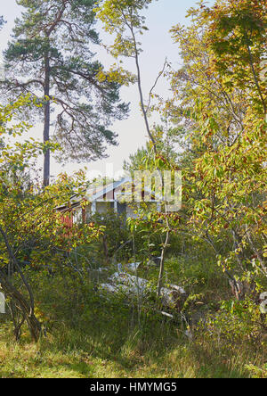 Traditionelle Holzhütte, versteckt zwischen Bäumen in Wald, Schweden, Skandinavien Stockfoto