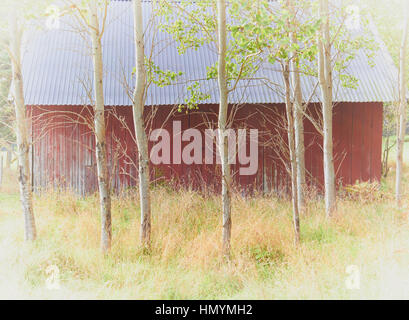 Scheune in Wald, Schweden, Skandinavien Stockfoto