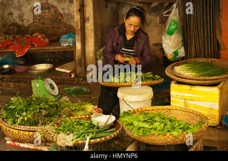 Vietnam. Hanoi. Gemüseladen Stockfoto