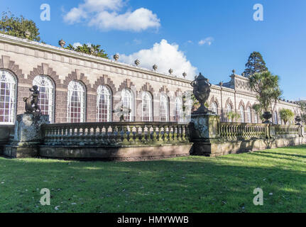 Die Orangerie ist ein Pavillon, eine große Sammlung von orange Zitrone und Zitrusbäume, Teil des Anwesens Margam Park. Stockfoto