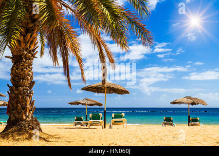 Türkisfarbenes Meer, Liegestühle, gelben Sand und Palmen, Sonne, sehr schöne Natur Stockfoto