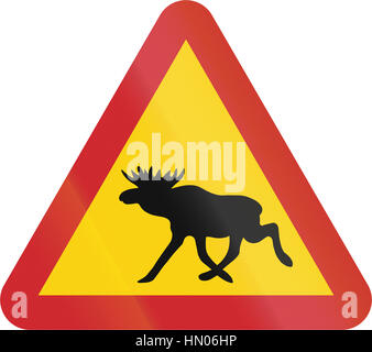 Straßenschild in Schweden - Elch verwendet. Stockfoto