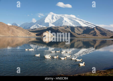 Muztagh Ata und Karakul See Stockfoto