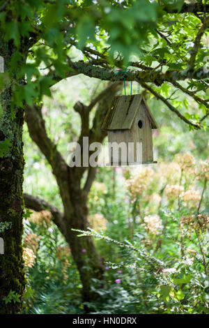 Vogelhaus oder Nistkasten in einem Baum Stockfoto