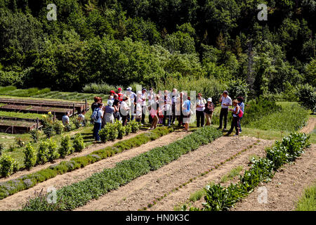 Italien Emilia Romagna Casola Valsenio (RA): Kräutergarten Stockfoto