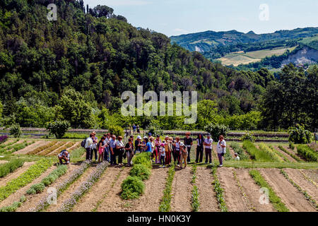 Italien Emilia Romagna Casola Valsenio (RA): Kräutergarten Stockfoto