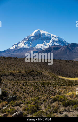 Hohen Anden-Tundra-Landschaft in den Bergen der Anden. Das Wetter Anden Hochland Puna Grünland Ecoregion von montane Wiesen und Strauch Stockfoto