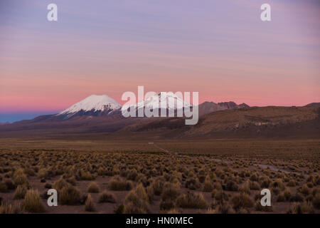 Sonnenuntergang in Anden. Vulkane Parinacota und Pomerade. Hohen Anden-Landschaft in den Anden. Hohen Anden-Tundra-Landschaft in den Bergen der Anden. Stockfoto