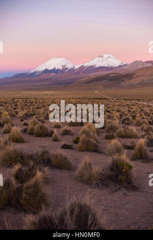 Sonnenuntergang in Anden. Vulkane Parinacota und Pomerade. Hohen Anden-Landschaft in den Anden. Hohen Anden-Tundra-Landschaft in den Bergen der Anden. Stockfoto
