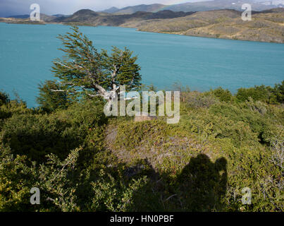 Backpacker nimmt ein Foto von einem Regenbogen über Pehoe See im Nationalpark Torres del Paine, Chile. Stockfoto