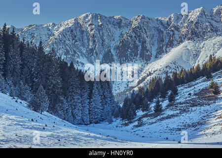 Alpine Winterlandschaft in den Tälern des Piatra Craiului Bergen, Rumänien. Stockfoto