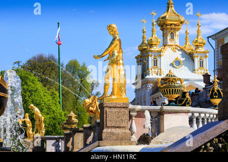 Goldene Statuen und Brunnen der großen Kaskade, Peterhof, St Petersburg, Russland Stockfoto