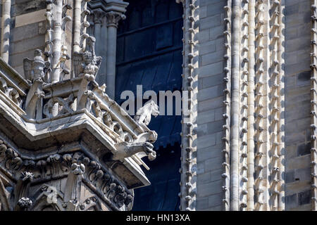 Wasserspeier Stein Dämonen und Chimären als Details der Notre-Dame de Paris Stockfoto