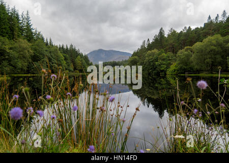 Schöne Reflexionen auf dem Glencoe Lochan in Schottland Stockfoto