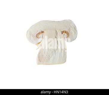 Champignon-Pilze isoliert auf weißem Hintergrund, in der Küche zum Kochen verwendet Stockfoto