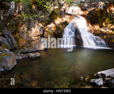 Schöne Mount Shasta Wildnis Stockfoto