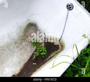 Altes Bad. Schmutzige alte Badewanne in einem Feld aufgegeben und Recycling als Tränke für das Vieh. Stockfoto