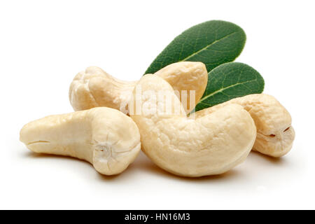 Cashew-Nuss, die isoliert auf weißem Hintergrund Stockfoto