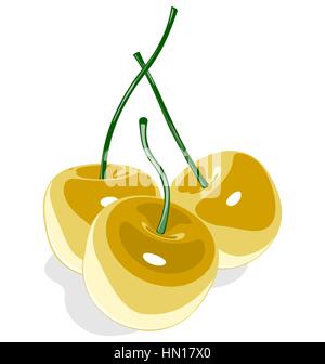 Gelbe Süßkirsche isoliert auf weiss Stock Vektor