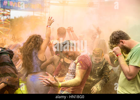 Musik-Festival-Publikum Stockfoto