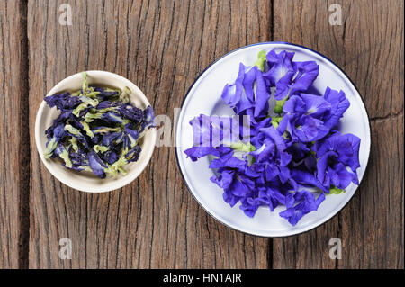 Frische und getrocknete Erbsen der Schmetterling Blume, Clitoria Ternatea auf Holzbrett in Thailand Stockfoto