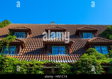 Efeu bedeckt schönes altes Steinhaus mit Ziegeldach und kleinen Fenstern. Pärnu, Estland Stockfoto