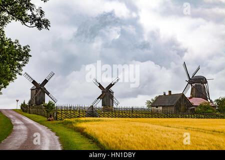 Alte hölzerne Windmühlen am Bauernhof am estnischen Insel Saaremaa Stockfoto