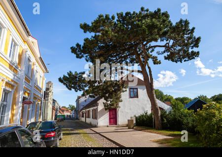 Großen Tanne auf der Straße der Altstadt auf dem Norden Europas Stockfoto