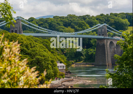 Die Menai Hängebrücke (Walisisch: Pont Grog y Borth) ist eine Hängebrücke, Straßenverkehr zwischen der Insel Anglesey und dem Festland von zu tragen Stockfoto