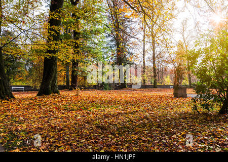 Weg durch den herbstlichen Wald mit Sonnenstrahlen Stockfoto