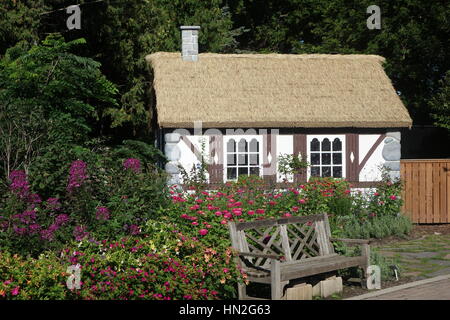 Tudor-Stil englischen Cottage mit Strohdach im Garten. Stockfoto
