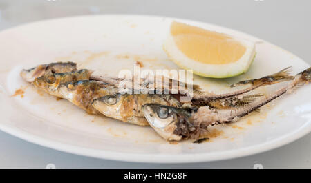 Die Überreste einer Platte von Sardinen, mit Knochen, Kopf und Schweif des Fisches sichtbar, zusammen mit einem Keil von Zitrone. Stockfoto