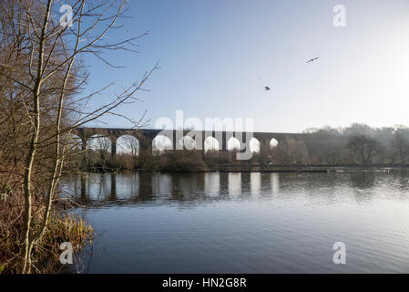 Rötlich Vale Landschaftspark, Greater Manchester, England Stockfoto