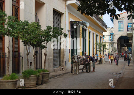 Straßenszene auf Calle Muralla am Eingang zur Plaza Vieja, Alt-Havanna, Kuba Stockfoto