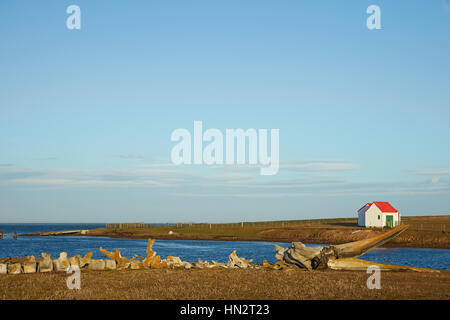 Alten Walknochen auf der Küste von Bleaker Island auf den Falkland-Inseln liegen. Stockfoto