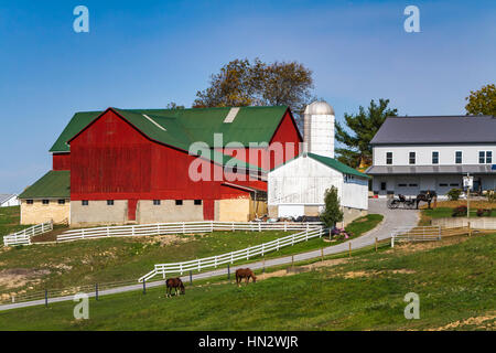 Ein amischer Farm mit Haus und Scheune in der Nähe von Charme, Ohio, USA. Stockfoto