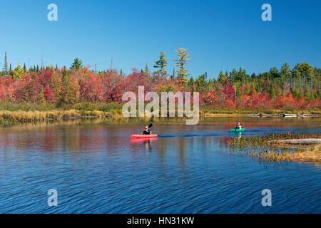 Zwei Kanuten paddeln in bunte Kanus vorbei an Bäumen in Herbstfarben in Neu-England Stockfoto