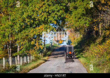 Eine amische Pferd und Buggy auf einen Feldweg in ländlichen/Ohio, USA. Stockfoto