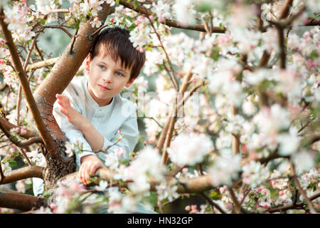 Niedliche kleine Junge im blühenden Apfelgarten an schönen Frühlingstag Stockfoto