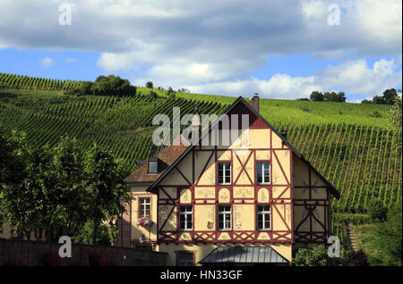 Vue Aérienne Sur le Village et Les Vignobles. Riquewihr.  F 68 Stockfoto