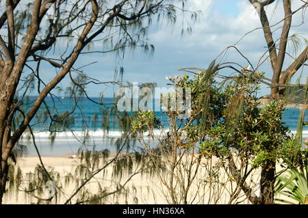 Morgen Aussicht, Byron Bay, New South Wale, NSW, Australien Stockfoto