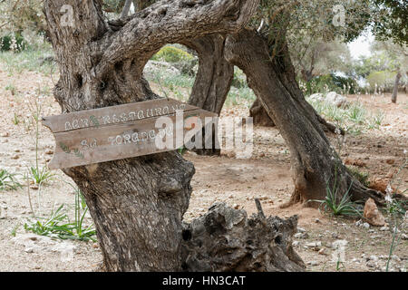 Melden Sie für das Restaurant Sa Foradada, unter die Olivenhaine in der Nähe von Deia, Mallorca, Spanien Stockfoto