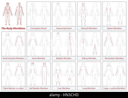 Körper-Meridiane Diagramm Frau Fließrichtung Stockfoto