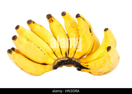 Reihe von Reife Dame Finger Banane isoliert auf weißem Hintergrund Stockfoto