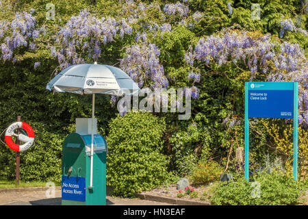 Blauregen wächst in Cleeve Lock Goring auf Themse Oxfordshire UK Stockfoto