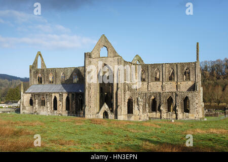 Tintern Abbey, Wye Valley, Monmouthshire, Wales Stockfoto