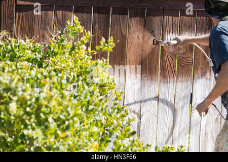 Professionelle Maler Haus Garten Zaun mit Beize sprühen. Stockfoto