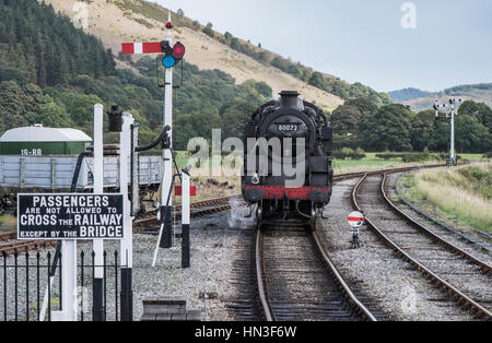 Llangollen Railway Dampflok nähert sich Carrog Bahnhof, Nordwales Stockfoto